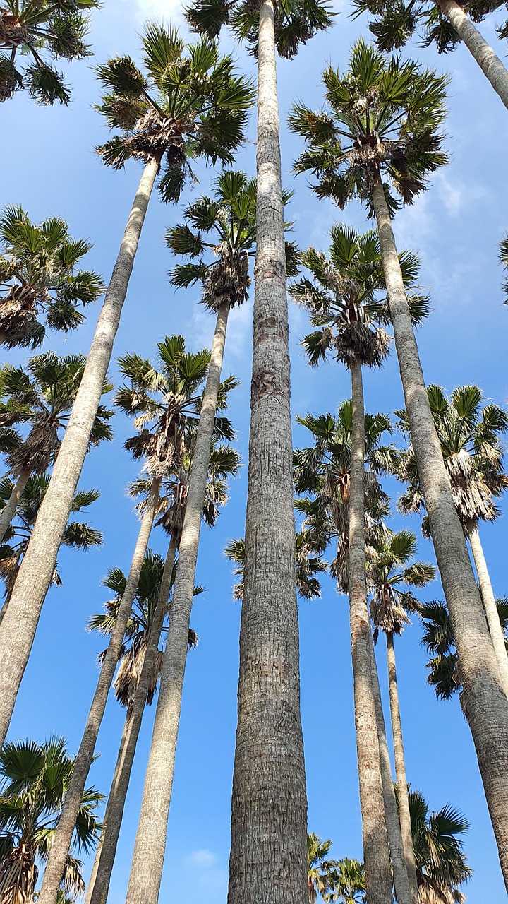 인생사진 건지는 제주 명소 사진