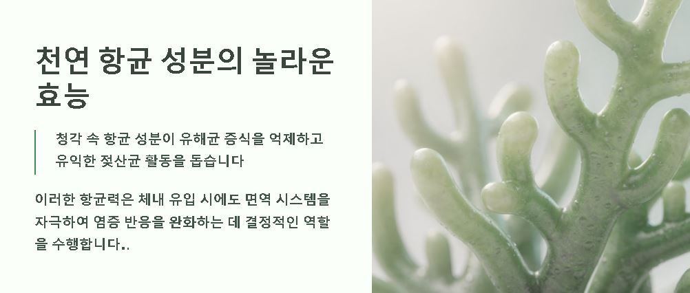 청각 효능 부작용 주의 사항