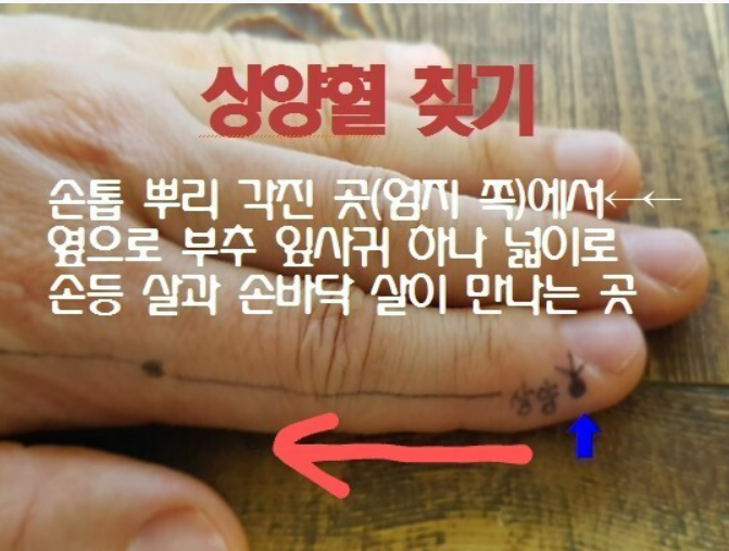 맑은 콧물 멈추는 방법 (상양혈)