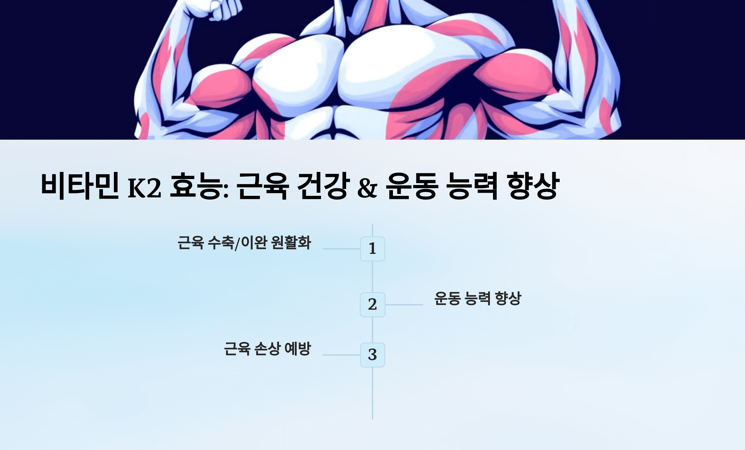 비타민k2와 관련된 사진입니다.