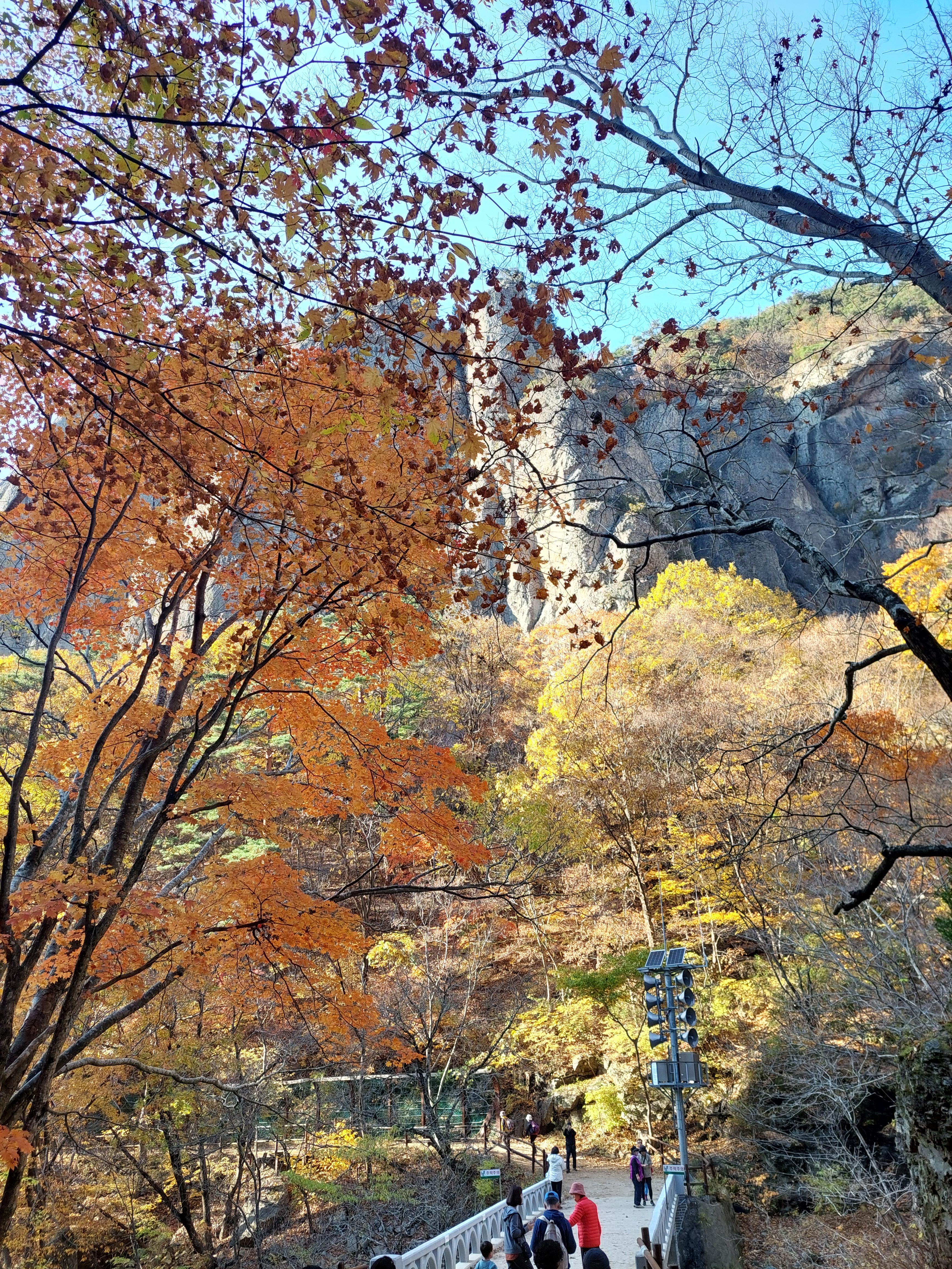 주왕산