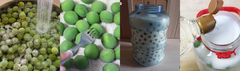 매실액기스-효능