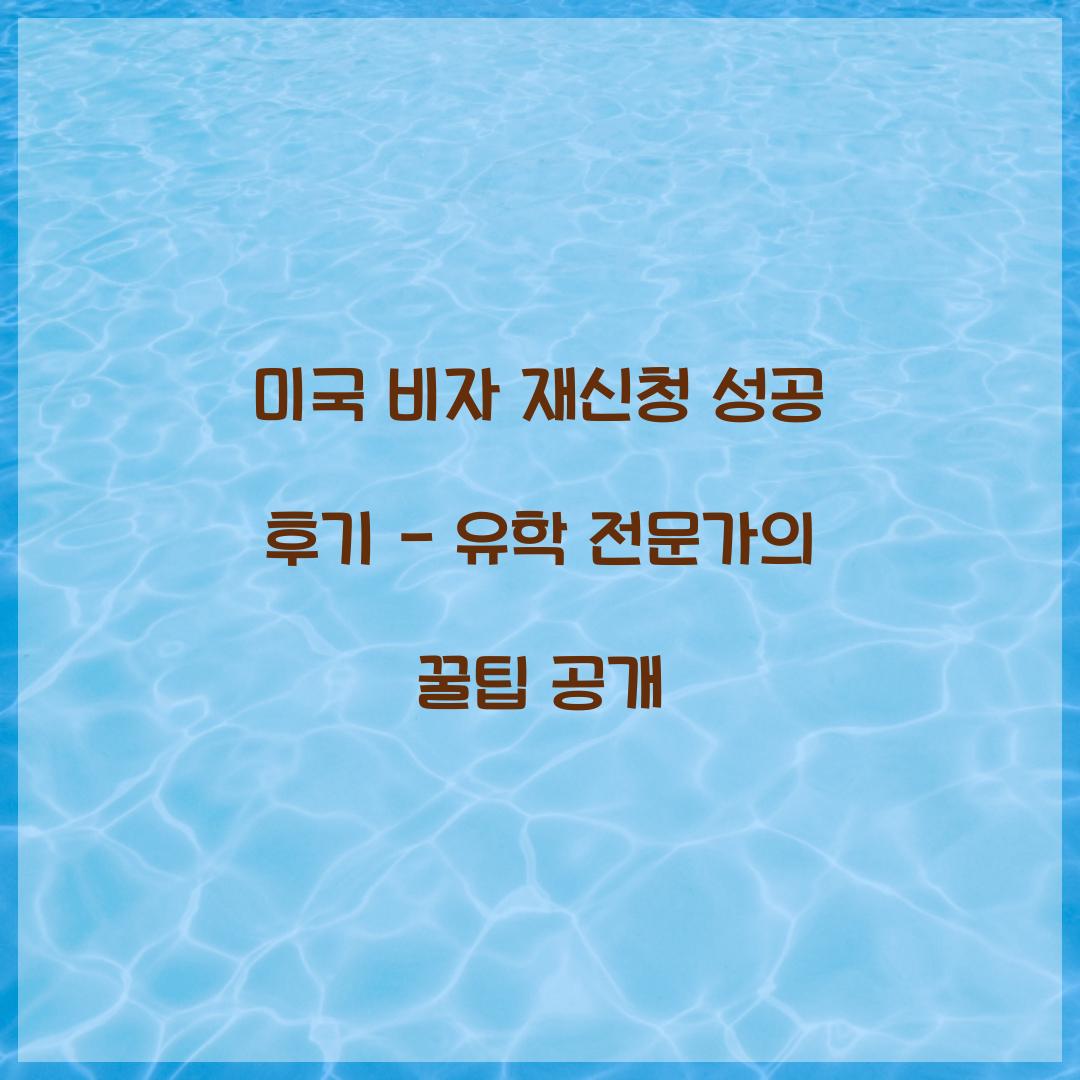 미국 비자 재신청