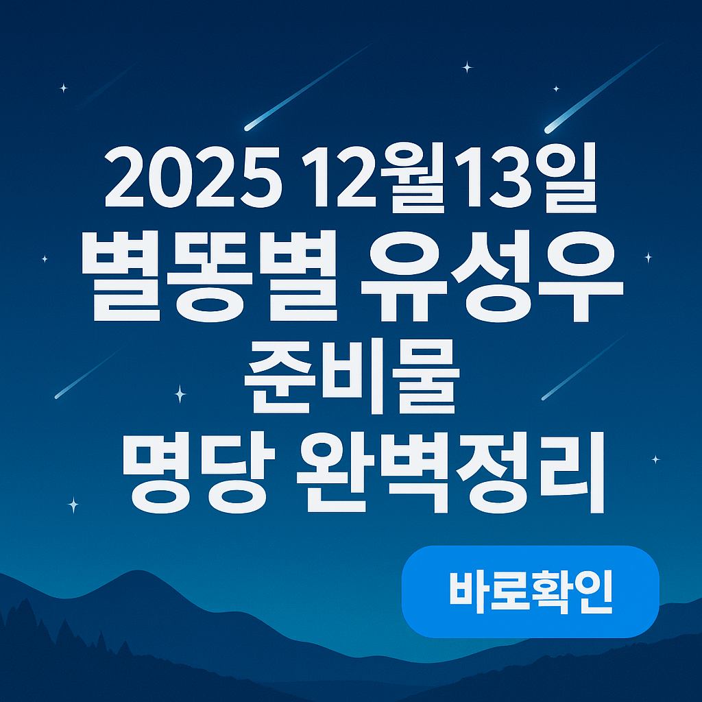 2025 12월13일 별똥별 유성우