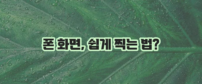 휴대폰 화면 캡처 방법
