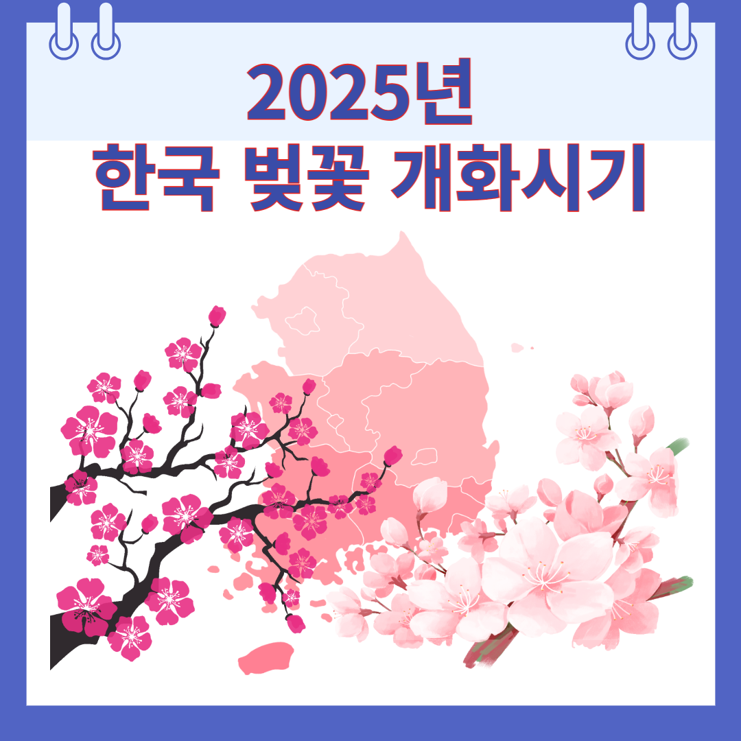 벚꽃 개화시기