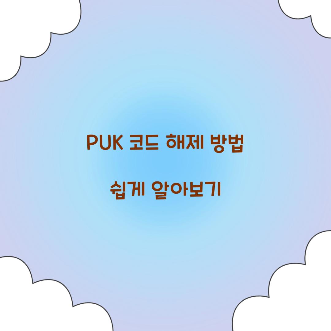 PUK 코드 해제 방법