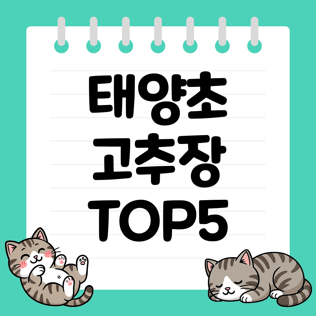 한식 치트키 집밥과 한식 요리에 잘 어울리는 태양초 고추장 TOP5