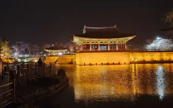 경주 가볼만한곳 베스트 10 역사 여행과 문화유산 탐방_17