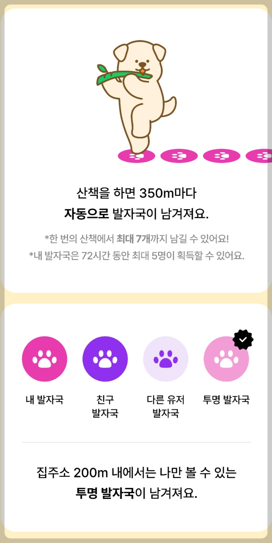 애견산책어플