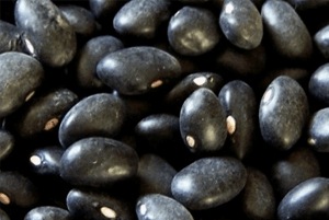 고지혈증에 좋은 음식12