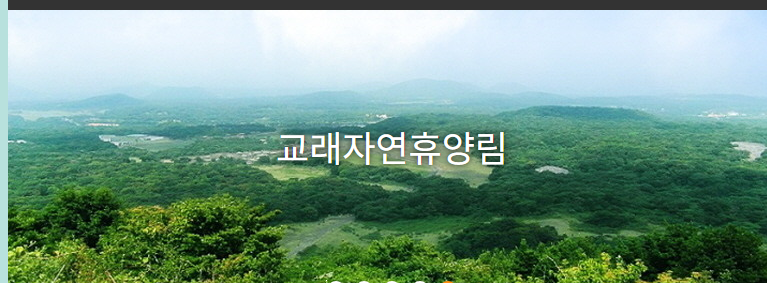 제주도 교래 자연 휴양림