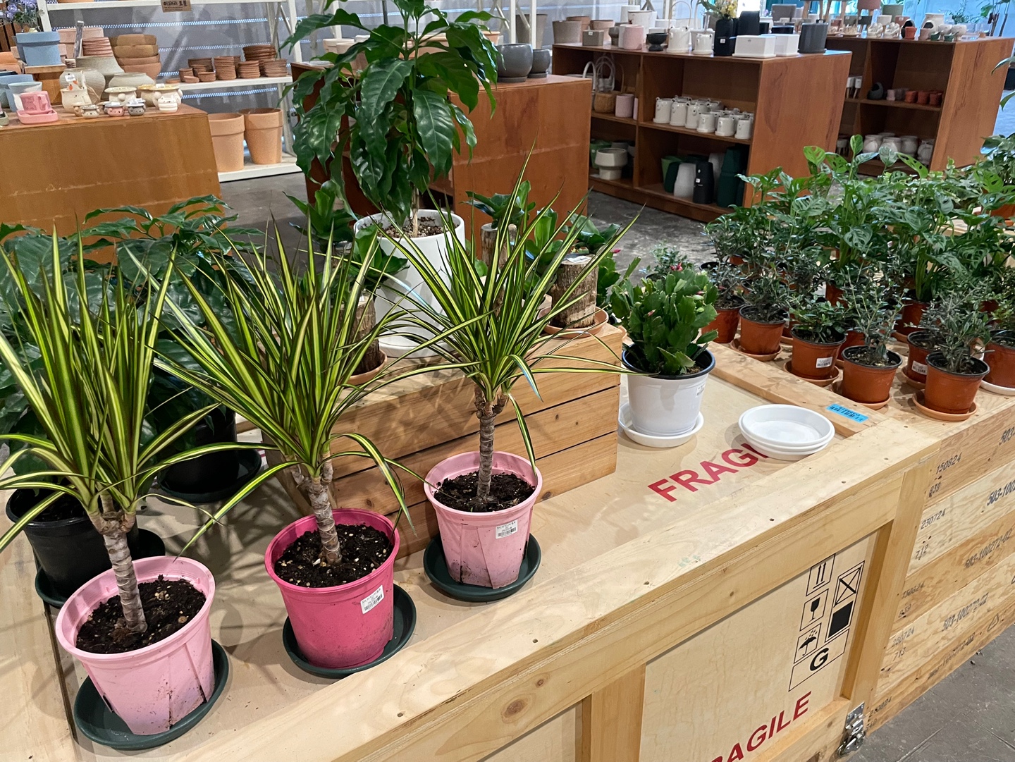 용인 식물원 베이커리 카페 어반리프