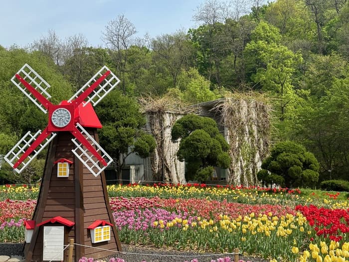 [4월 봄꽃 축제]부천 무릉도원수목원 튤립 축제❘방문후기, 맛집 정보