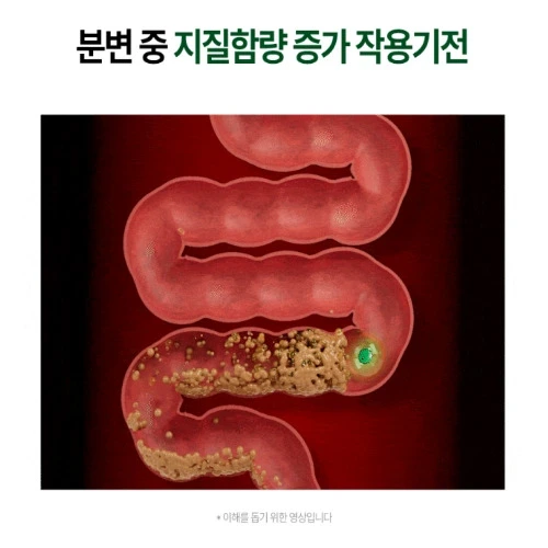 소우코우 이소비텍신 다이어트 내돈내산 후기