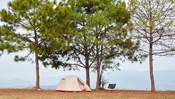 마음치유 사진4
