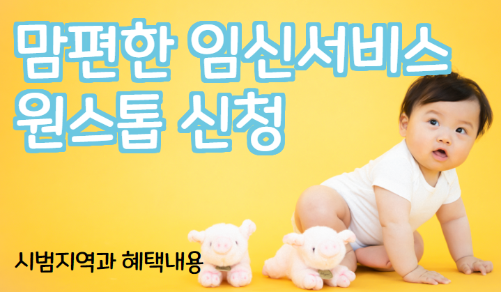 맘편한 임신 원스톱 서비스 시범지역