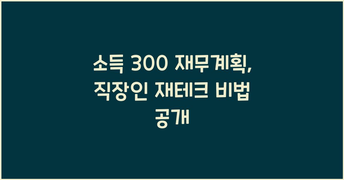 소득 300 재무계획