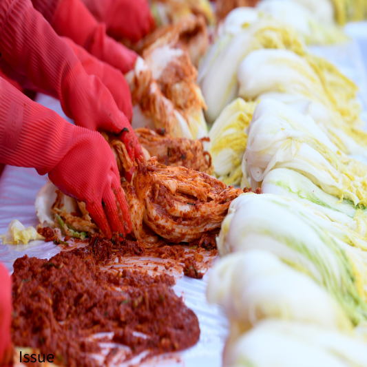 절임배추