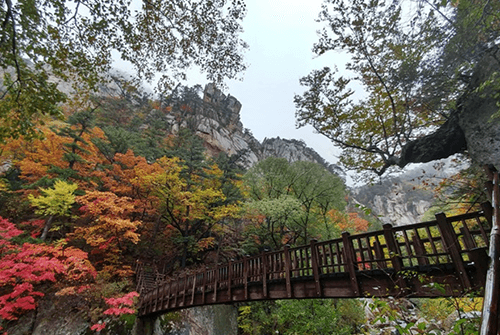 수렴동02