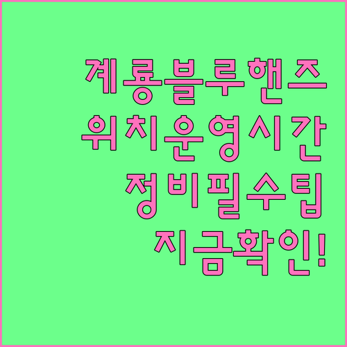 계룡시 블루핸즈 위치 및 운영 시간 ..