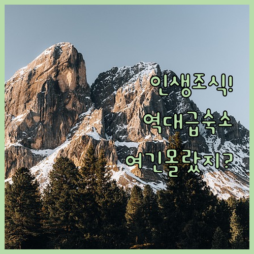 트레커가 극찬한 인생 조식과 리모델링..