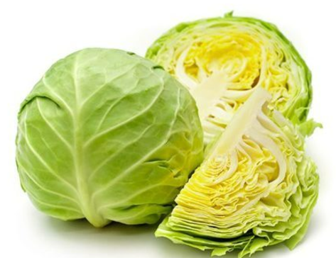 양배추