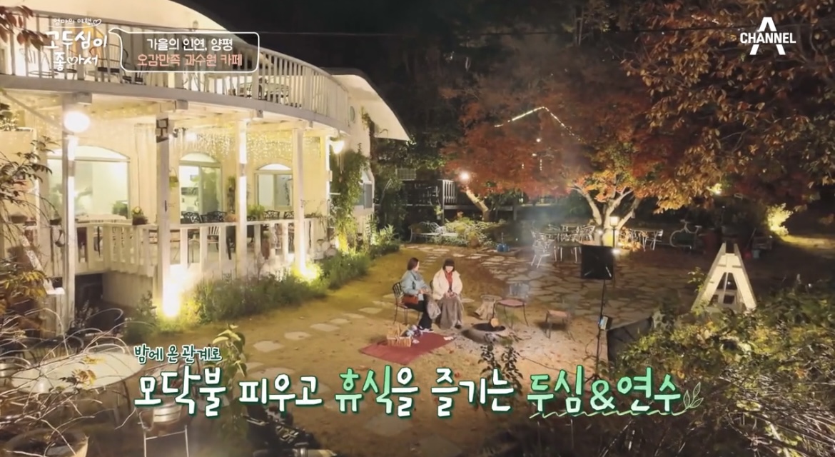 고두심이좋아서-양평-과수원-카페-정원