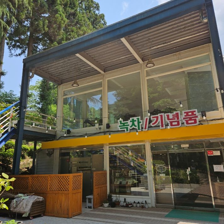 대한다원보성녹차밭