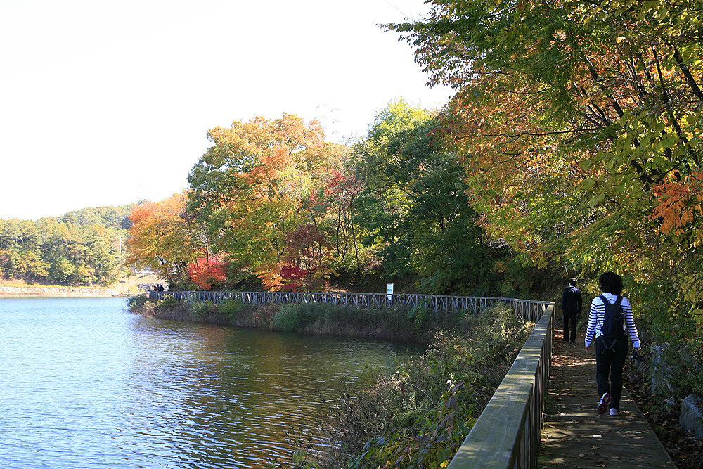 경기도 파주 마장호수출렁다리 소개