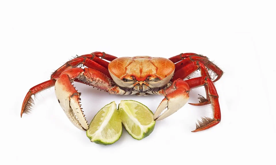 꽃게