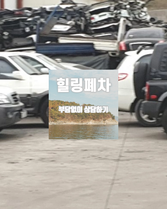 방치차량폐차 번호판 상태 확인