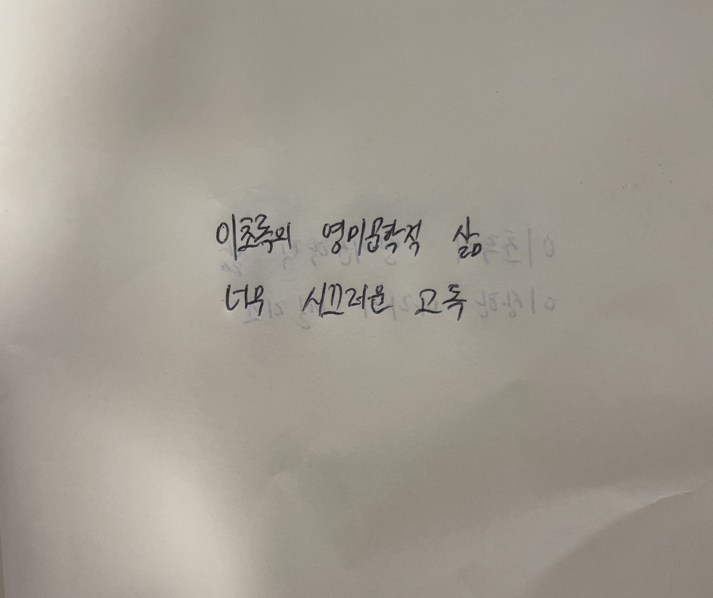 이초록의 영미문학적 삶- 너무 시끄러운 고독 보후밀 흐라발 손글씨