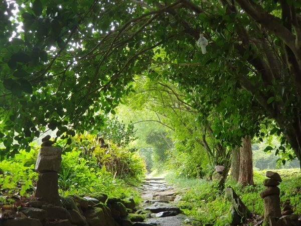 생방송투데이 스카이바이크&amp;#44; 쌍산재&amp;#44; 향나무숲