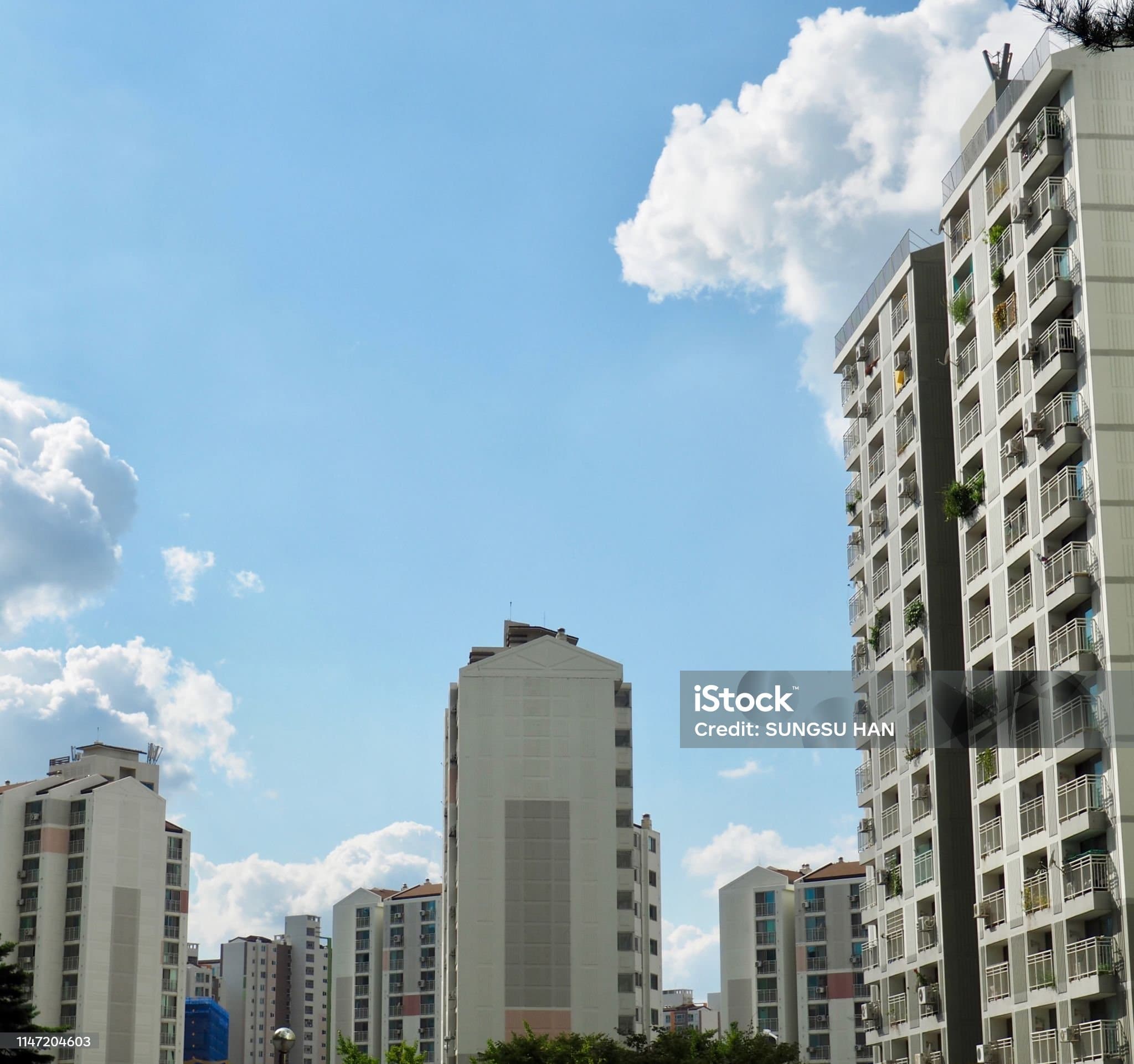 “그냥 월세 받을래”
씨 마른 서울 전세… 투기 잡으려던 정책, 왜 세입자에게 불똥이 튀었을까?