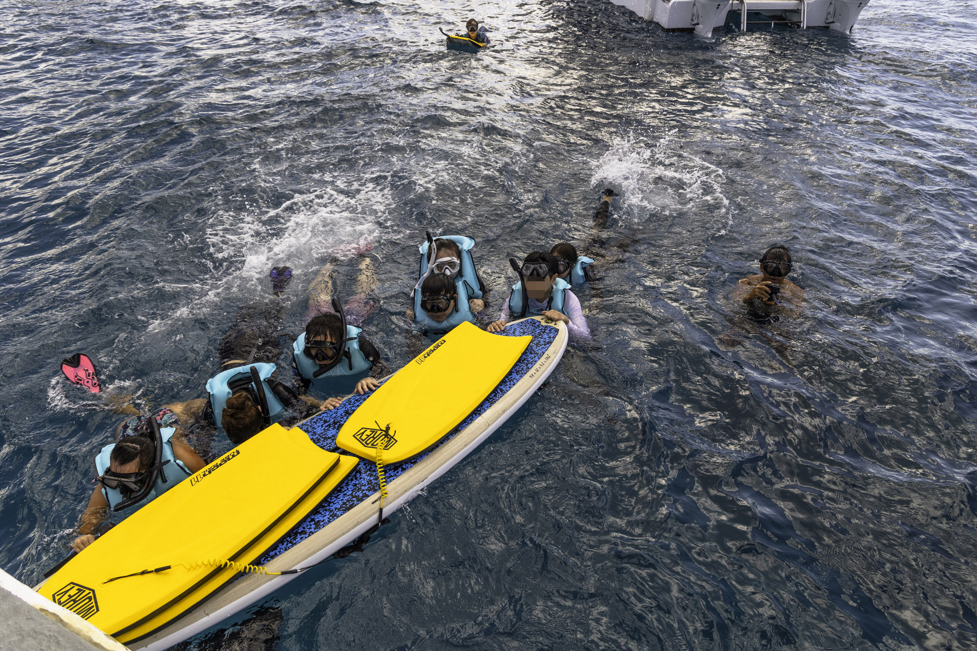 하와이 거북이 스노쿨링