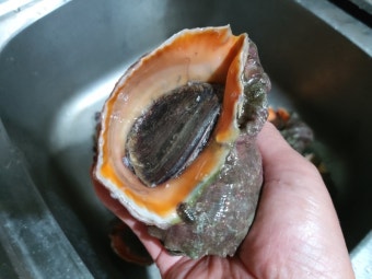 11월 제철 해산물 소라