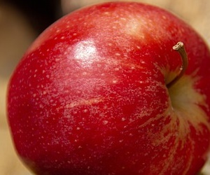 사과 1개 칼로리는 얼마일까?