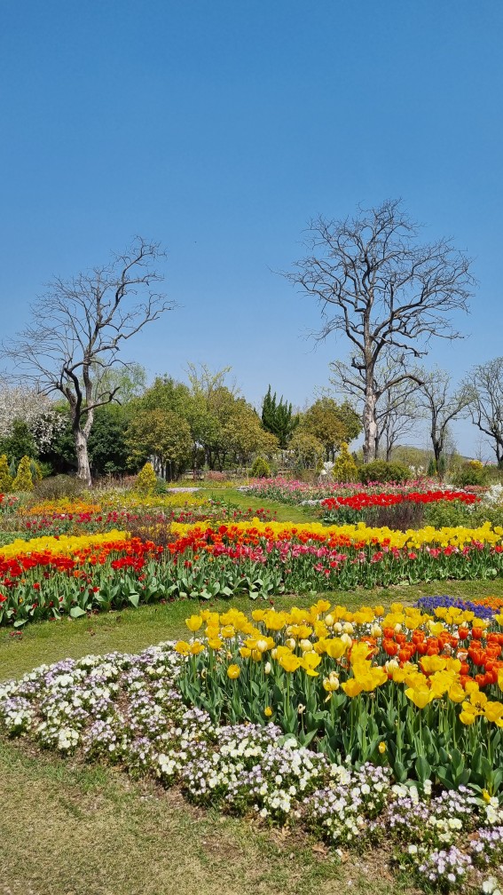 순천만 국가정원 동문 관람 코스 두다하우스 및 유미의세포들 (24년4월10일 기준 사진)
