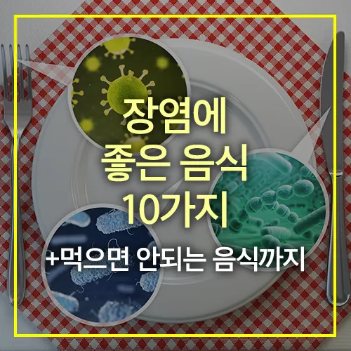 장염에 좋은 음식