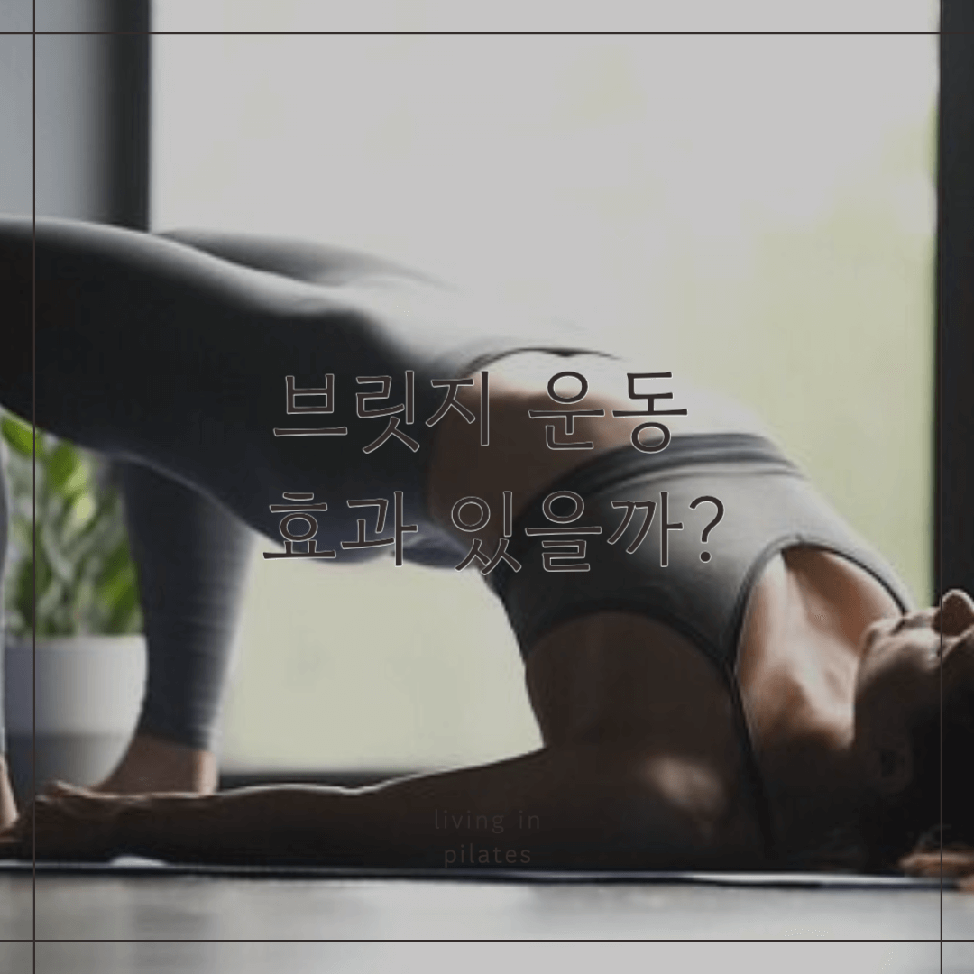 브릿지 운동 효과