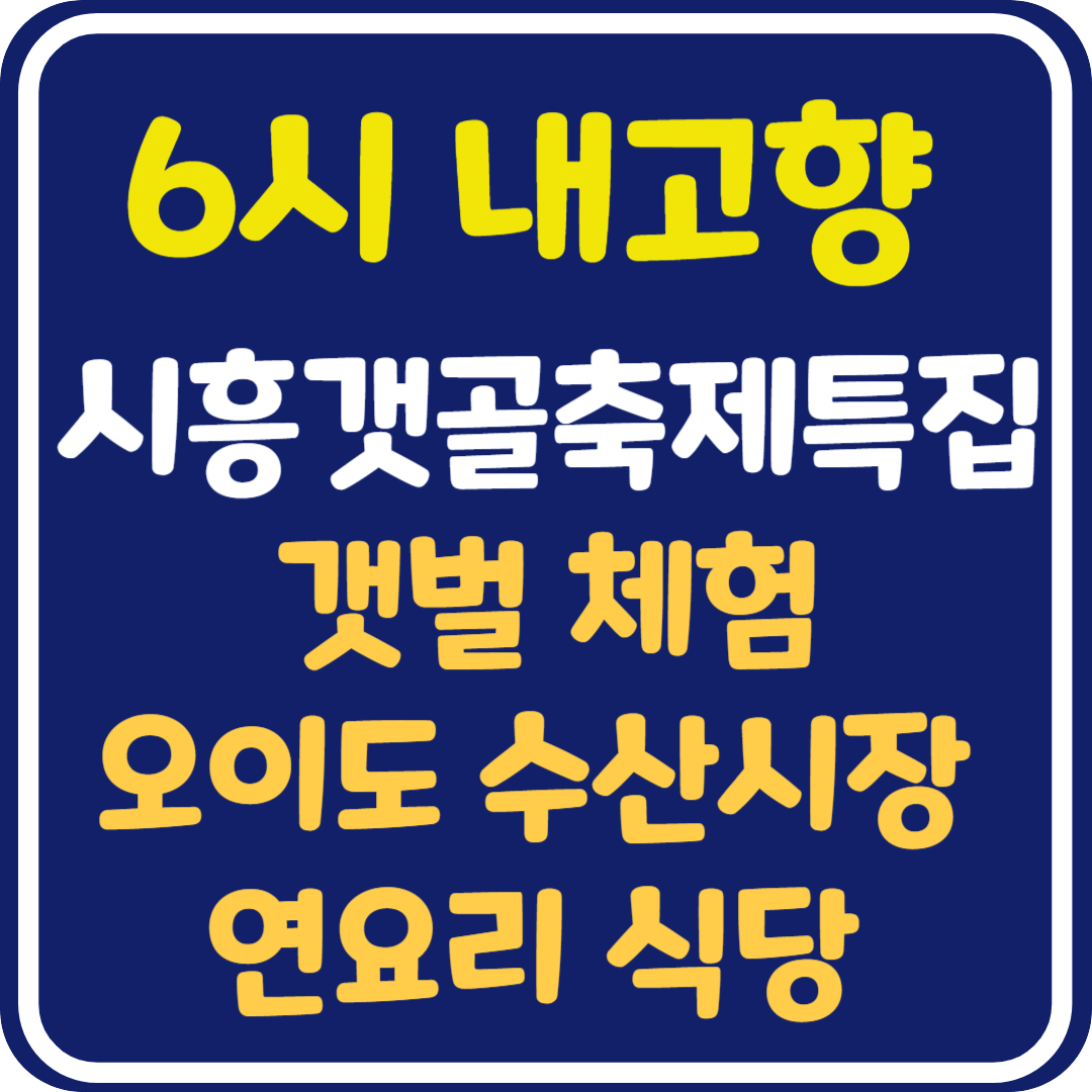 6시 내고향 경기 시흥갯골축제 특집 관련 정보 안내