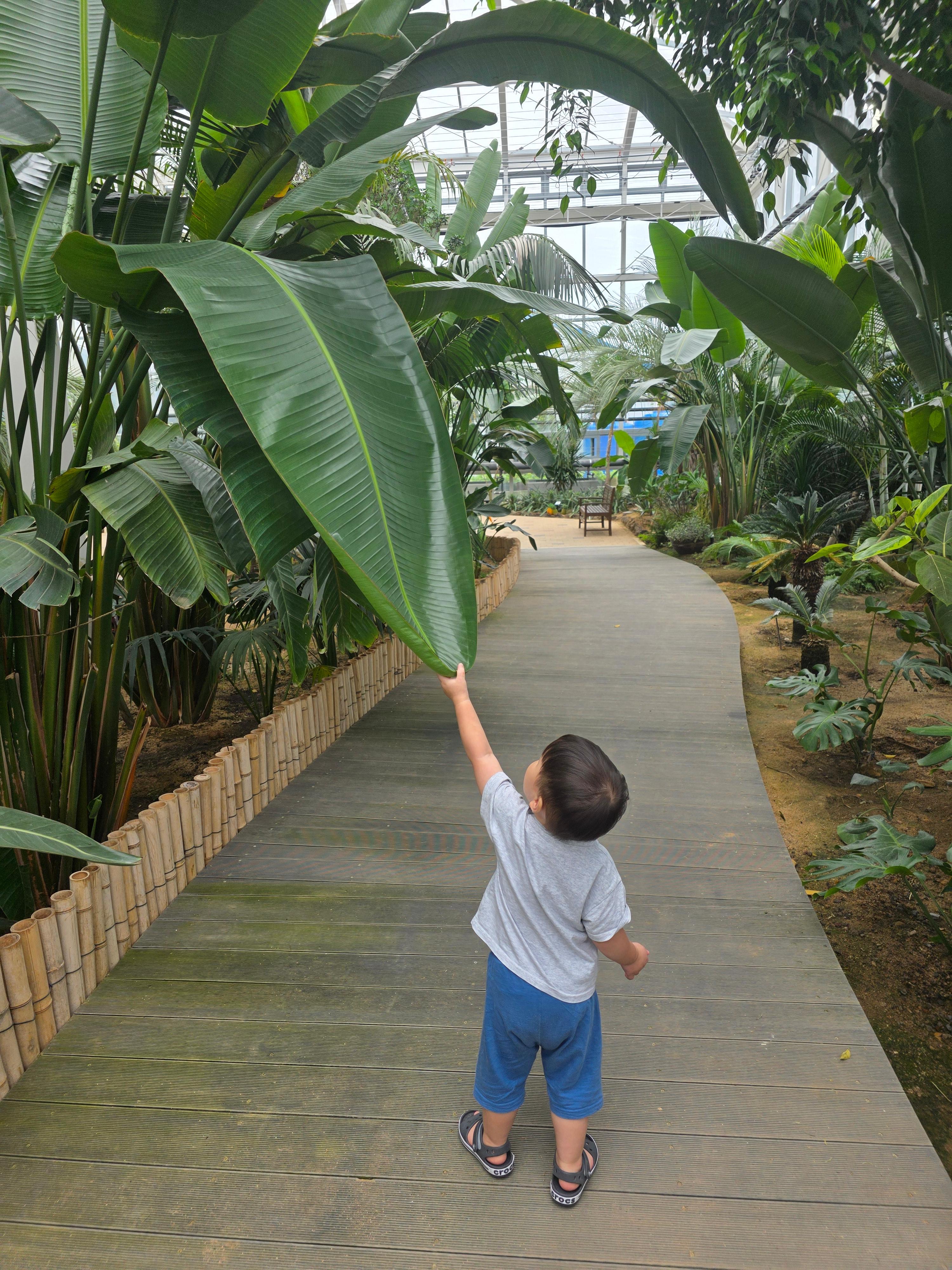 제천 아열대 스마트 온실 아기랑