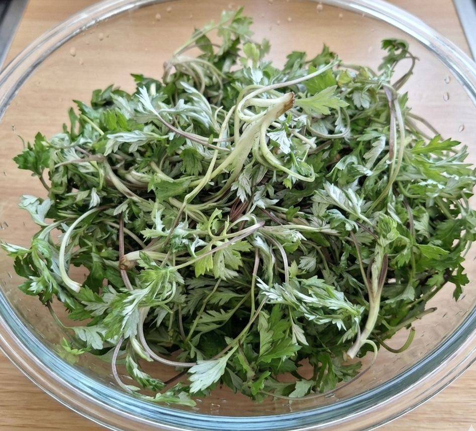 주방 조리대 위 투명한 유리 보울에 가득 담긴 싱싱하고 파릇파릇한 봄 노지 쑥.