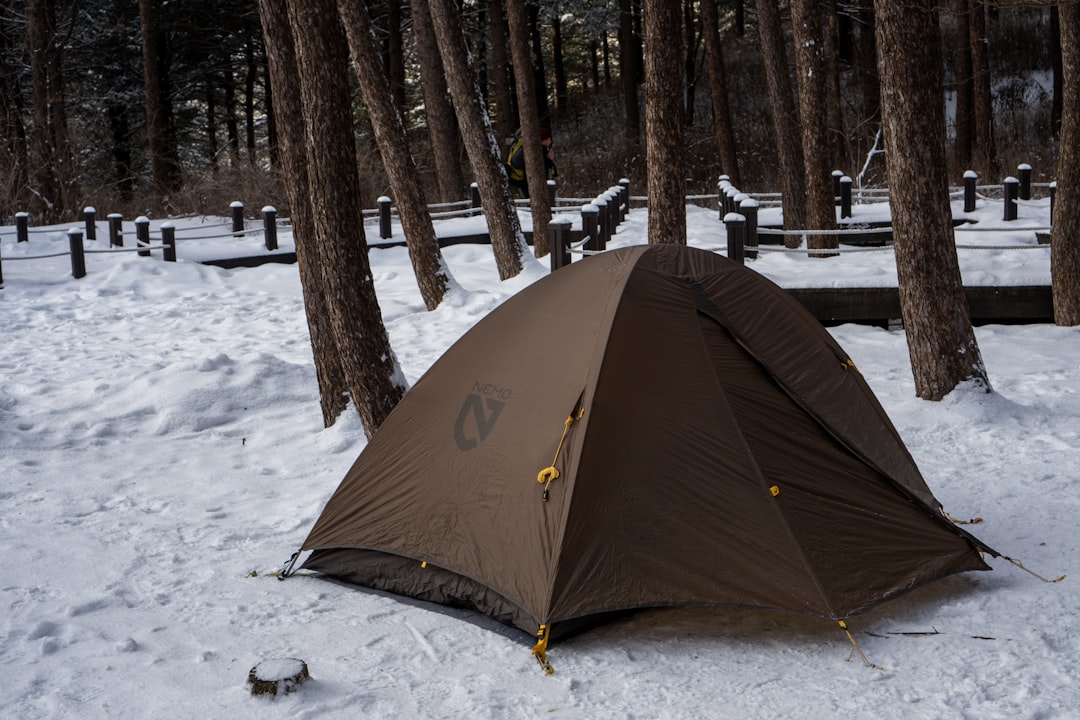 Camping.