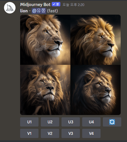 lion 캡쳐
