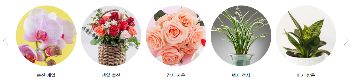 우체국 쇼핑몰 꽃