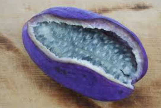 으름 열매 덩굴 나무 효능 부작용