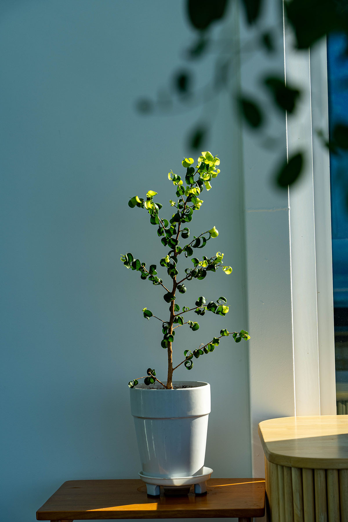 그랜드하브 B동 3층