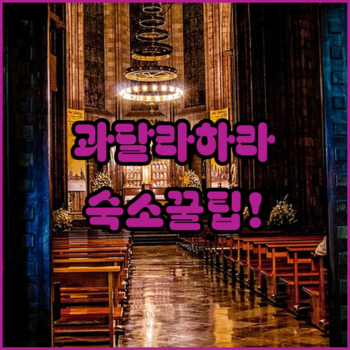 멕시코 과달라하라 여행 숙소 선택 팁..